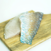 Parrot Fish Fillet