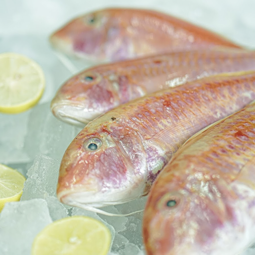 Red Mullet WR