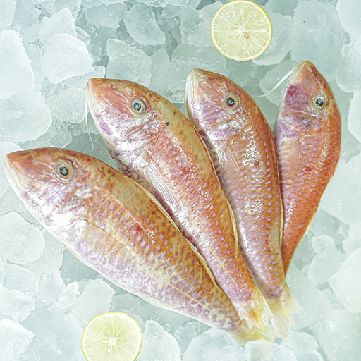 Red Mullet WR